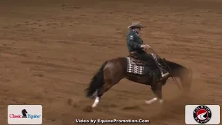 Shawn W. Flarida - Horse stumbling to carpal joints … almost fall ...