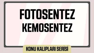 FOTOSENTEZ - KEMOSENTEZ (AYT KONU KALIPLARI SERİSİ)