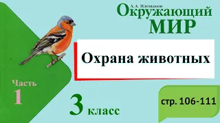 Охрана животных. Окружающий мир. 3 класс, 1 часть. Учебник А. Плешаков стр. 106-111