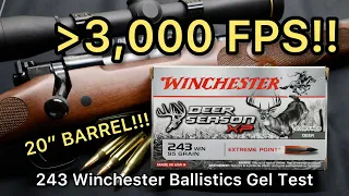 MACH 2.7!! 243 Winchester Deer Season XP 95gr Ammo Test
