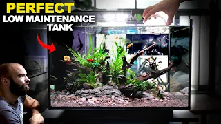 ALL IN ONE Peninsula Kit Aquarium: Easy & Stunning Setup