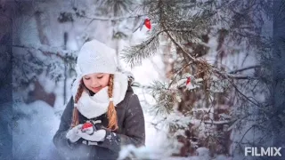 Дорогие друзья! Хочу всех поздравить с наступающим новым годом! 💮💮💮🤶🎅⛄🌲