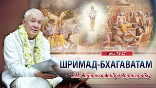 02/02/2024 Шримад-Бхагаватам 7.5.17. Е.М. Чайтанья Чандра Чаран прабху. Вриндаван парк