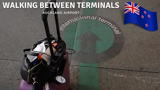 How to get between Auckland domestic and international terminal