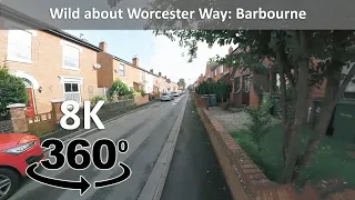 Wild about Worcester Way in 8K 360° VR: Barbourne