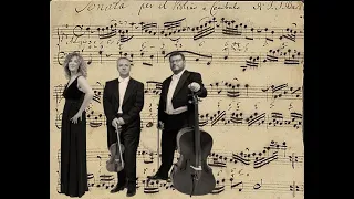 JOHANN SEBASTIAN BACH: Sonata in Sol Maggiore per violino e b.c. BWV 1021-II Vivace - L'Archicembalo