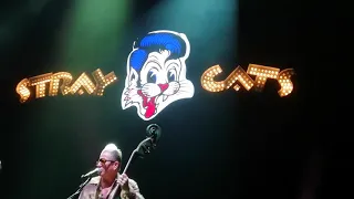 Stray Cats - Cry Baby - London 26/06/19