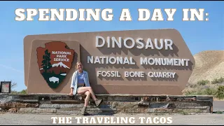 One Day in Dinosaur National Monument - The Traveling Tacos - Utah & Colorado Road Trip