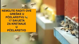 🍯Prije prve košnice, razmislite o ovih 17 pčelarskih činjenica (osnove pčelarstva )