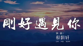 剛好遇見你 - 蔡佩軒『如果再相遇 我想我會記得你』【動態歌詞Lyrics】