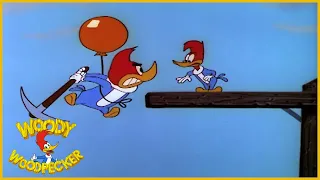 Woody Woodpecker | To Catch a Woodpecker | Full Episodes