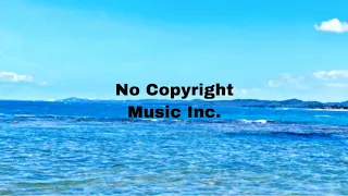 Ikson - Skyline (No Copyright Music Inc.)