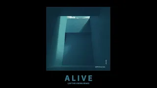 RÜFÜS DU SOL - Alive (Leif the Viking Remix)