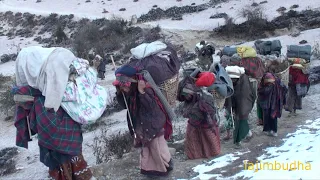 the path of himalayan nomad people || Nepal || village life || himalayan life ||