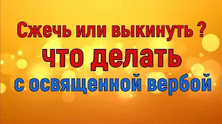 Сжечь или выкинуть?  Что делать с освященной вербой?