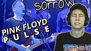Pink Floyd - Sorrow | Reaction (LIVE AT PULSE 1994)