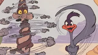 Did They Know It?: Looney Tunes: Roadrunner And Wile E. Coyote