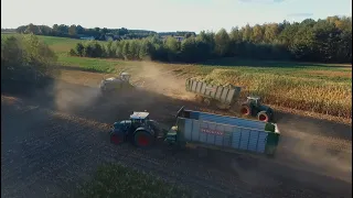 LECH -POL koszenie kukurydzy na dużą skalę,  2xClaas jaguar 980