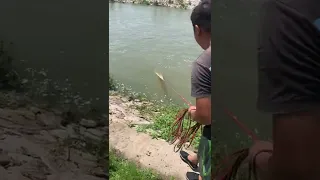 Cast net fishing in the river all around 67