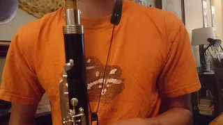 Importance of Mouthpiece (Alto Clarinet)