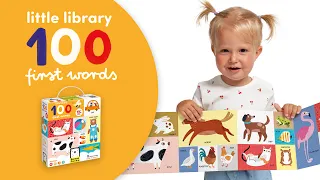 Little Library 100 First Words | Banana Panda