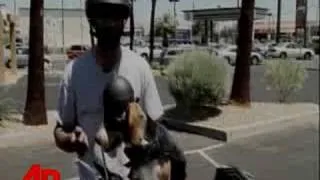 Hog-Riding Dog 'Loves His Harley Davidson'