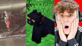 MOBY z MINECRAFT ZNALEZIONE w PRAWDZIWYM ŻYCIU 😨!!!