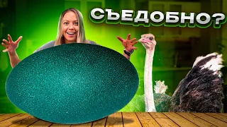 Мы сделали карбонару из огромных страусиных яиц!