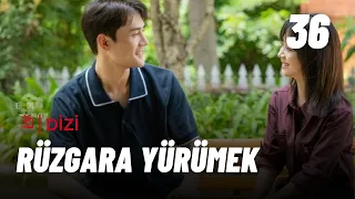 Rüzgara Yürümek | 36. Bölüm | Flight to You | Wang Kai, Tan Songyun  |  向风而行