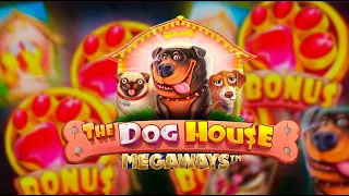 ЭТО СЕССИЯ БЫЛА ОСОБЕННОЙ В DOG HOUSE MEGAWAYS (ТОЧНО)🔥