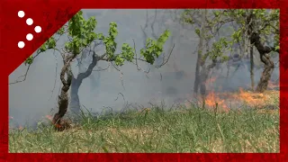 Incendio sulla A18 ad Aci Sant'Antonio nel catanese: bruciano aree rurali vicino all'autostrada