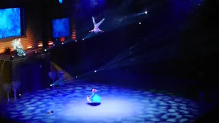 Цирковое шоу Морозко.  30.12.2018. Воздушные гимнасты на ремнях
