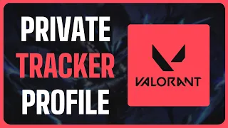 How To Make Profile Private on Valorant Tracker - Full Guide (2024)