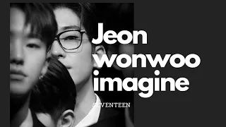 [Seventeen Imagine] :  Wonwoo Imagine