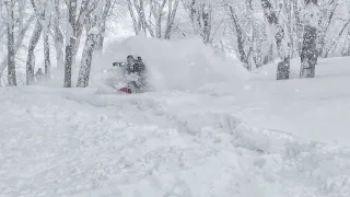 koruashapes hokkaido furano japow snowboarding!!