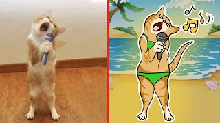 30 minutes of GINGER CAT 🐱 Funny Cats and Dogs Videos 😅 Best Funny Animal Videos 2024 😸🐶 Part 12