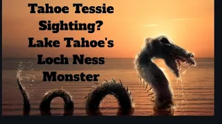 Tahoe Tessie Lake Tahoe's Loch Ness Monster Sighting