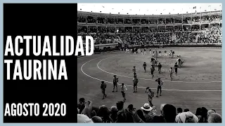 |NOVILLADAS 2020|  🐂 Certámenes de escuelas taurinas 🏟️ Primeros Festejos