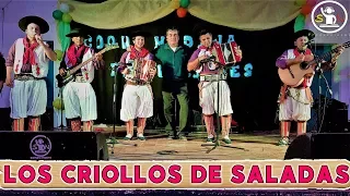 LOS CRIOLLOS DE SALADAS - CHAMAME EN VIVO