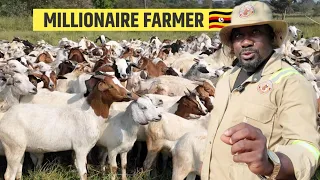 I Started With 70 Goats Now I Have Over 3000 High Grade Goats Giving Me Dollars, Hamiisi Semanda