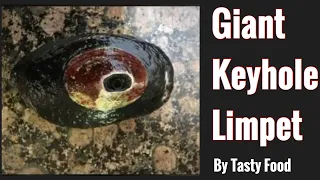 How to clean Giant Keyhole Limpet
