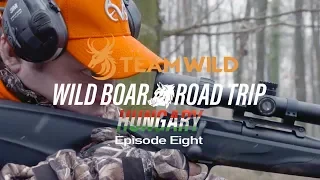 Wild Boar Hunting: Driven Hunting in Hungary