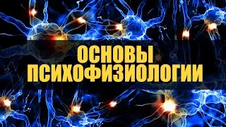 Основы психофизиологии. Биологические основы памяти