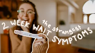 How I Knew I Was Pregnant Before A Positive Pregnancy Test // THE STRANGEST 2 WEEK WAIT SYMPTOMS