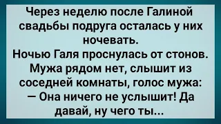 Когда Жена Легла Спать Кума Залезла На Мужа! Сборник Свежих Анекдотов! Юмор!