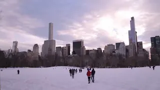 Les Français à New York