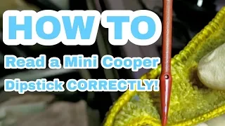 PROPERLY read the dipstick on a Mini Cooper