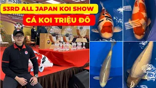 CÁ KOI ĐẸP tại 53rd ALL JAPAN KOI SHOW | CÁ KOI KHỦNG trị giá HÀNG TỈ ĐỒNG !!!