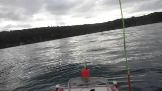 BIGGEST FISH EVER CAUGHT ON A RC Fishing Boat