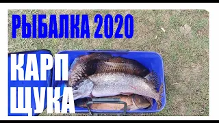 🔴 Рыбалка 2020 в КАРАНТИН! Жор щуки! Ловля карпа в апреле!